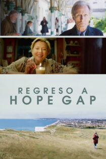 دانلود فیلم Hope Gap 2019 شکاف امید