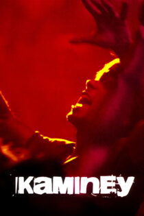 دانلود فیلم Kaminey 2009 کامینی دانلود فیلم Kaminey 2009 کامینی