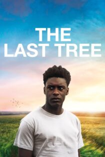دانلود فیلم The Last Tree 2019 آخرین درخت
