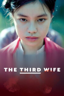 دانلود فیلم The Third Wife 2018 همسر سوم دانلود فیلم The Third Wife 2018 همسر سوم