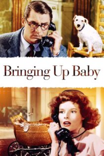 دانلود فیلم Bringing Up Baby 1938 بزرگ کردن بیبی