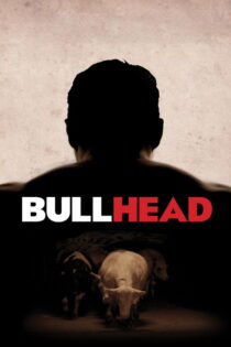دانلود فیلم Bullhead 2011 کله‌شق (روندسکوپ)