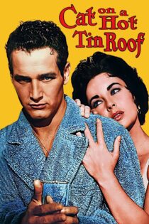 دانلود فیلم Cat on a Hot Tin Roof 1958 گربه روی شیروانی داغ