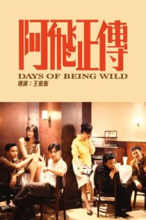 دانلود فیلم Days of Being Wild 1990 روزهای وحشی بودن