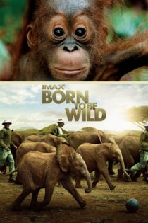 دانلود فیلم Born to Be Wild 2011 متولد شده برای وحشی بودن