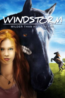 دانلود فیلم Windstorm 2013 اوست‌ویند