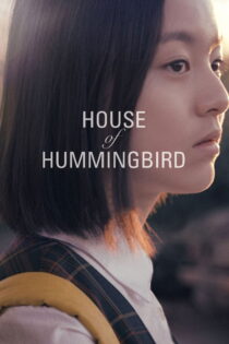 دانلود فیلم House of Hummingbird 2018 مرغ مگسخوار دانلود فیلم House of Hummingbird 2018 مرغ مگسخوار