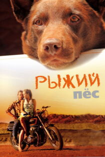 دانلود فیلم Red Dog 2011 سگ قرمز دانلود فیلم Red Dog 2011 سگ قرمز