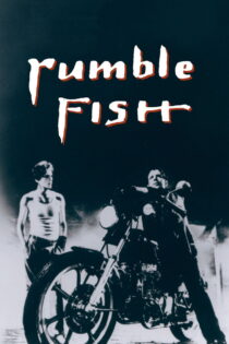 دانلود فیلم Rumble Fish 1983 ماهی پرهیاهو دانلود فیلم Rumble Fish 1983 ماهی پرهیاهو