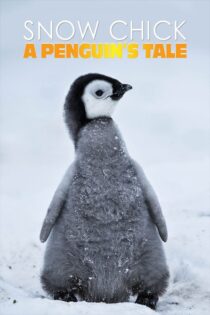 دانلود فیلم Snow Chick: A Penguin’s Tale 2015 جوجه‌برفی: داستان یک پنگوئن