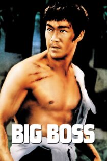 دانلود فیلم The Big Boss 1971 تانگ شان دا شیونگ (رئیس بزرگ) دانلود فیلم The Big Boss 1971 تانگ شان دا شیونگ (رئیس بزرگ)
