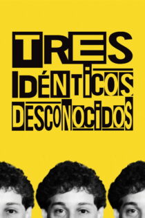دانلود فیلم Three Identical Strangers 2018 سه غریبه همسان