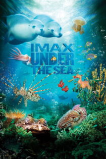 دانلود فیلم Under the Sea 3D 2009 زیر دریا سه‌بعدی