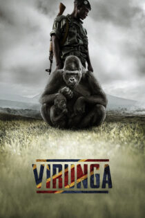 دانلود فیلم Virunga 2014 ویرونگا