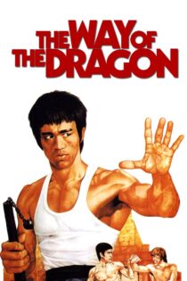 دانلود فیلم The Way of the Dragon 1972 راه اژدها
