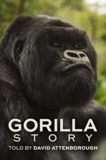 دانلود مستند A Gorilla Story: Told by David Attenborough 2026 داستان یک گوریل: به روایت دیوید اتنبرو دانلود مستند A Gorilla Story: Told by David Attenborough 2026 داستان یک گوریل: به روایت دیوید اتنبرو