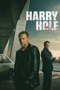 دانلود سریال Detective Hole کارآگاه هول دانلود سریال Detective Hole کارآگاه هول