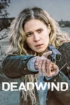 دانلود سریال Deadwind ددویند